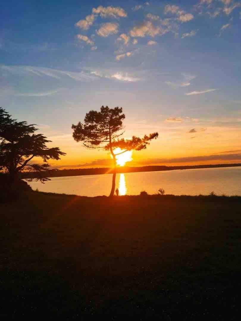 Les Jeux Du Vent -Saint Jacut De La Mer Dış mekan fotoğraf